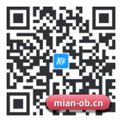 系统版 iOS 二维码